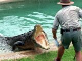 Killer crocodile terrorizes residents in the Philippines
